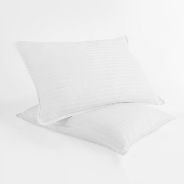 Home Collection 2 Pack Plush Down Alternative Gel Fiber Pillows