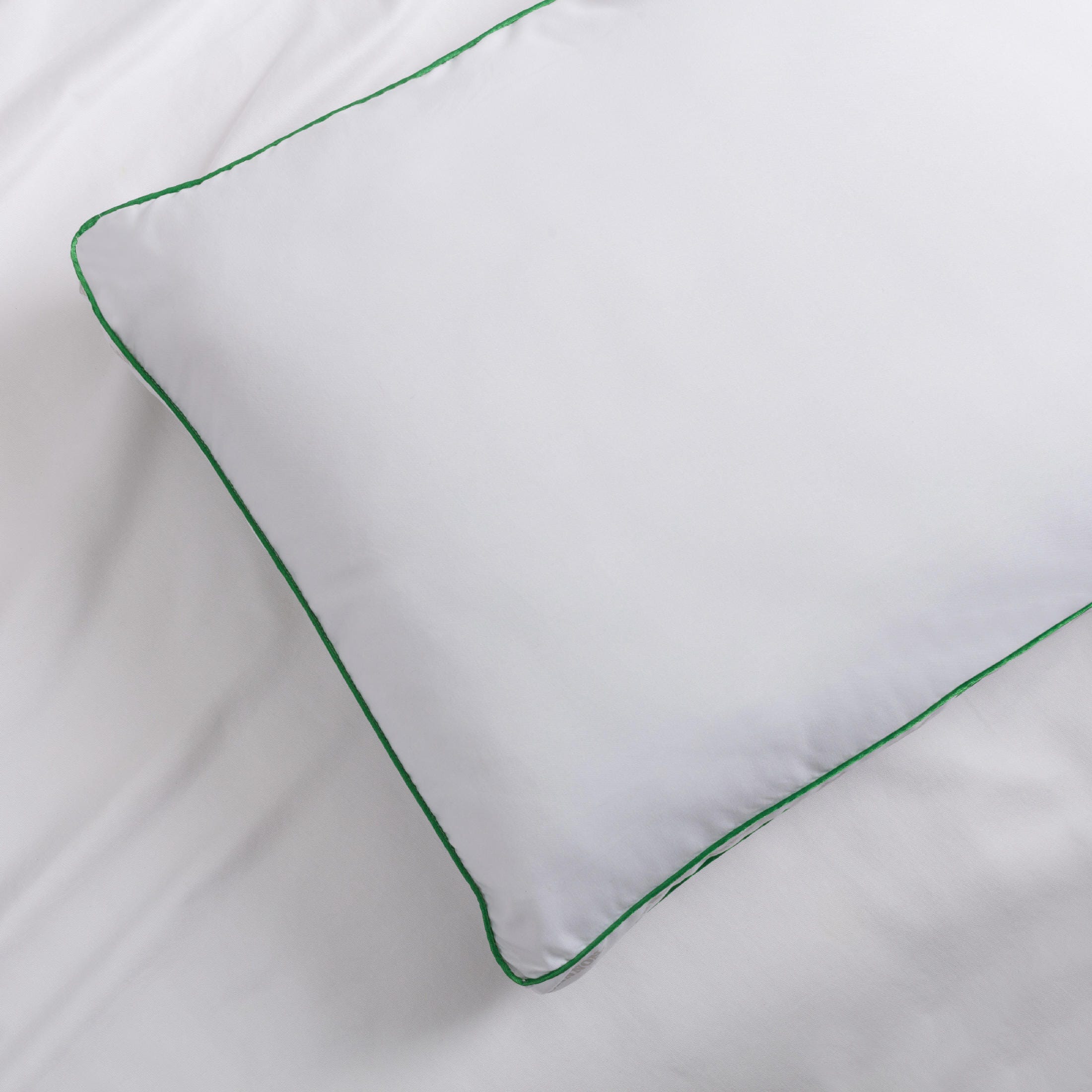 Cannon Firm 2 Inch Gusset 2 Pack Pillow Set