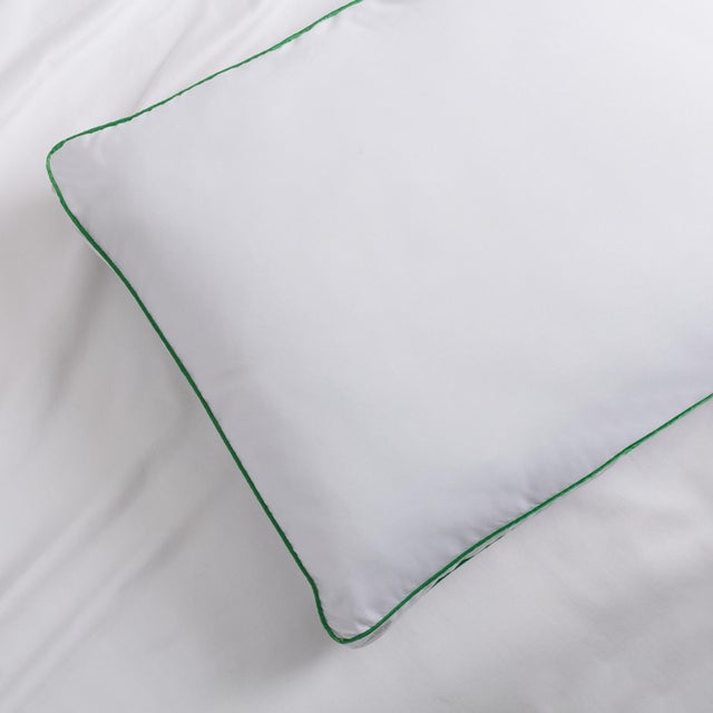 Cannon Firm 2 Inch Gusset 2 Pack Pillow Set