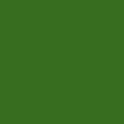 Swatch color Forest , product with this swatch is currently selected
