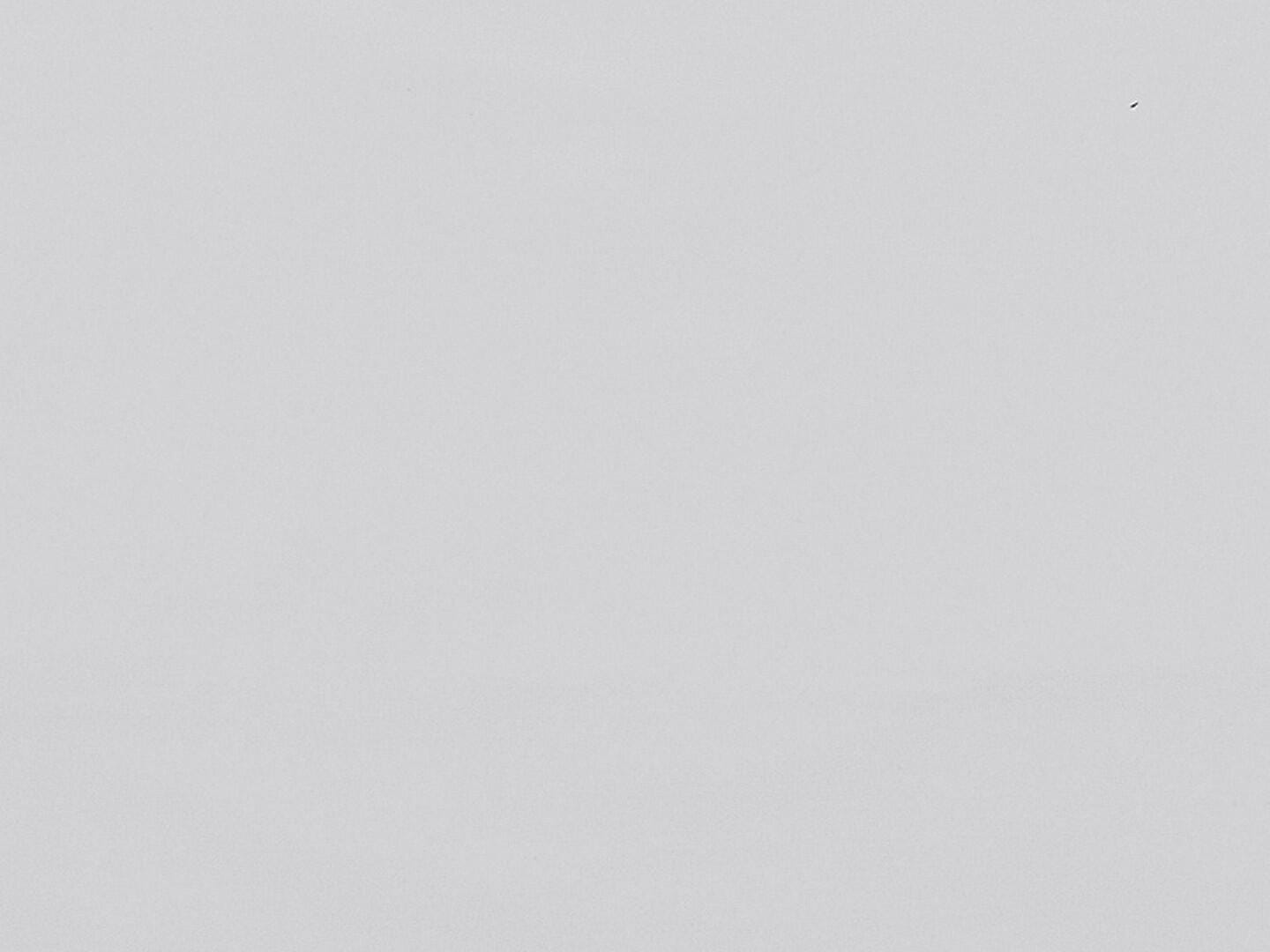 Swatch color Gray 