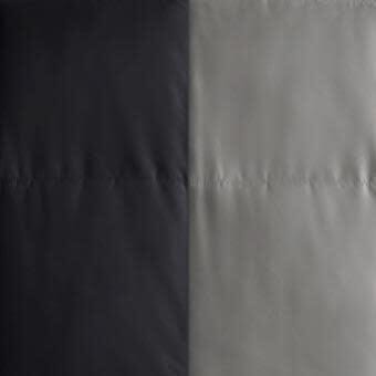 Swatch color Black/Fog 
