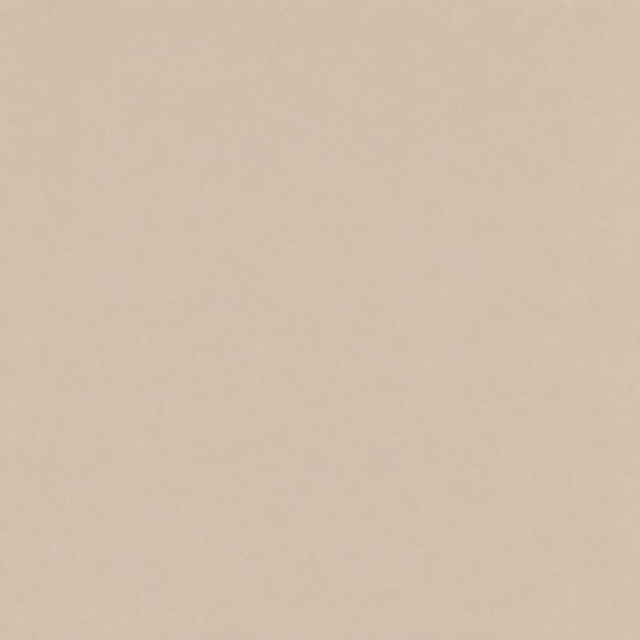 Crane Home Calm 1 Piece King Sheet, Beige, large