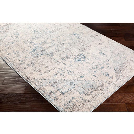 Surya Anakara Transitional Gray Area Rug, Gray/Blue, large