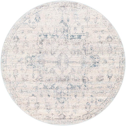 Surya Anakara Transitional Gray Area Rug, Gray/Blue, large