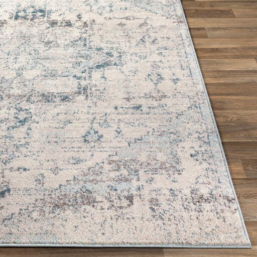 Surya Anakara Transitional Gray Area Rug, Gray/Blue, large