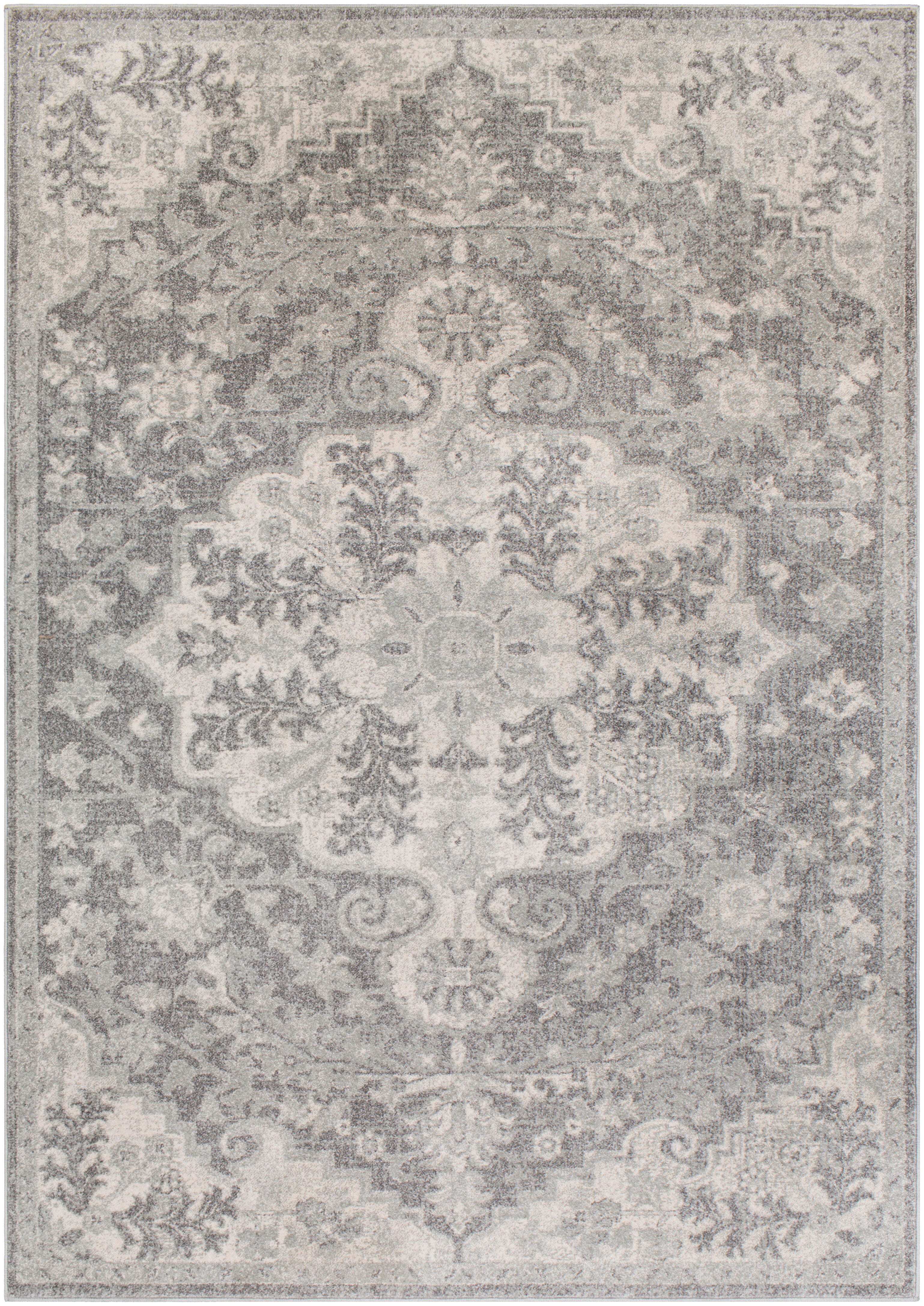 Traditional 3'11" X 5'7" Area Rug, Light Gray/Charcoal/Beige, large