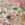 Swatch color Ivory/Pink