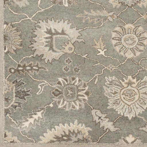 World Needle Calypso Transitional Area Rug, Taupe, large