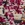 Swatch color Black/Gold , product with this swatch is currently selected