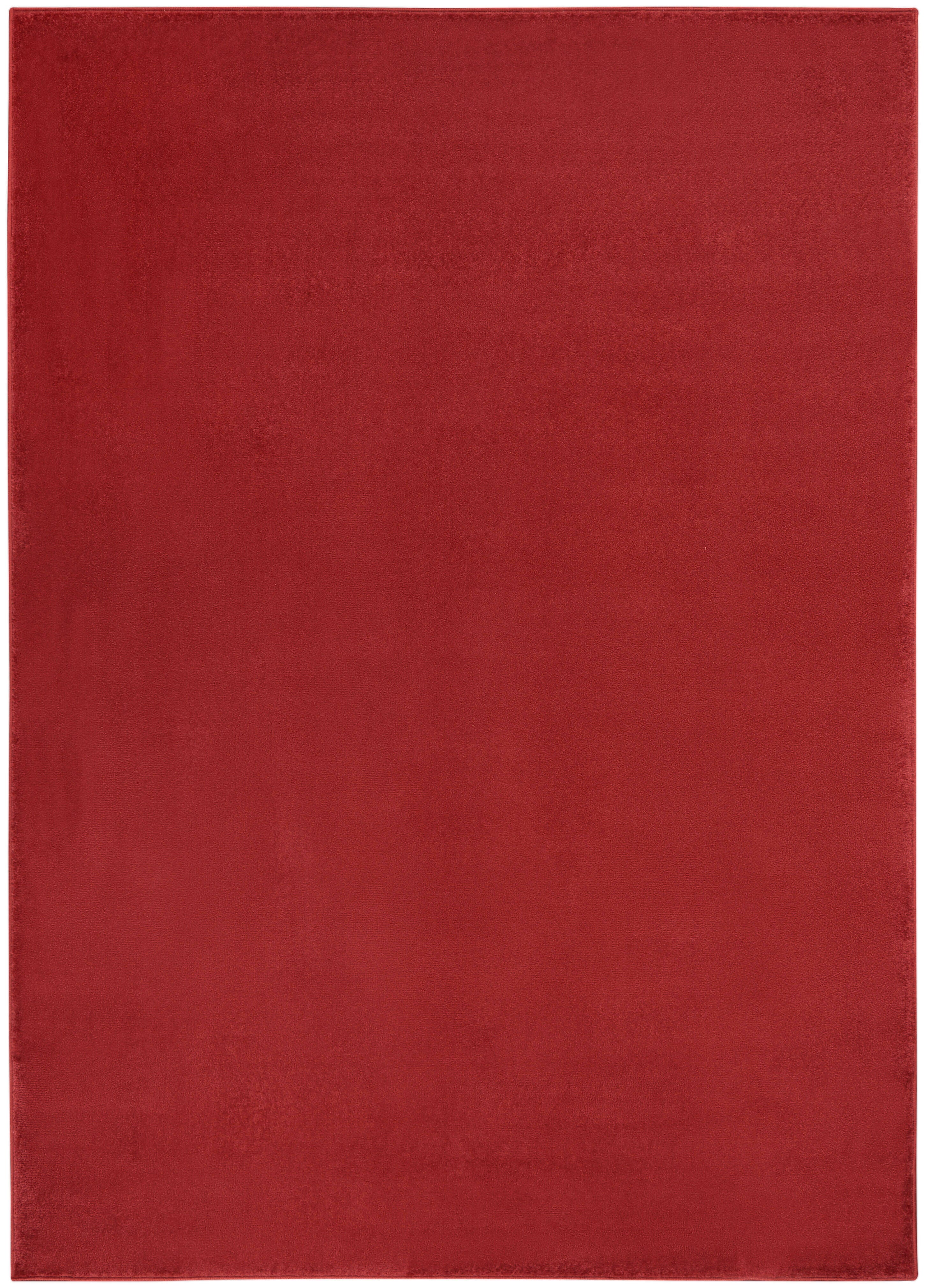 Nourison Home Nourison Nourison Essentials 4' x 6' Brick Red Outdoor Indoor/Outdoor Rug, Brick, large