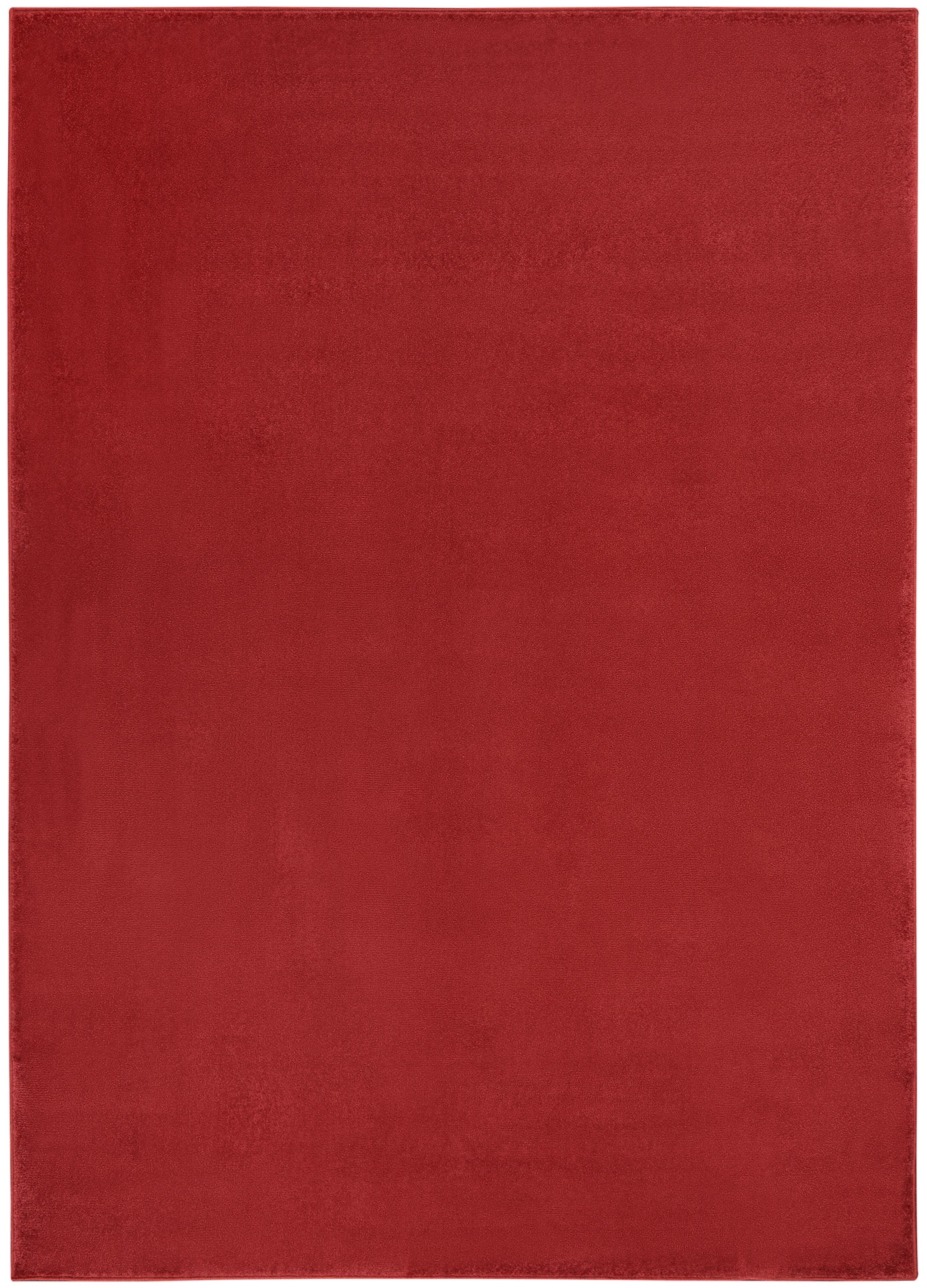 Nourison Home Nourison Nourison Essentials 6' x 9' Brick Red Outdoor Indoor/Outdoor Rug, Brick, large