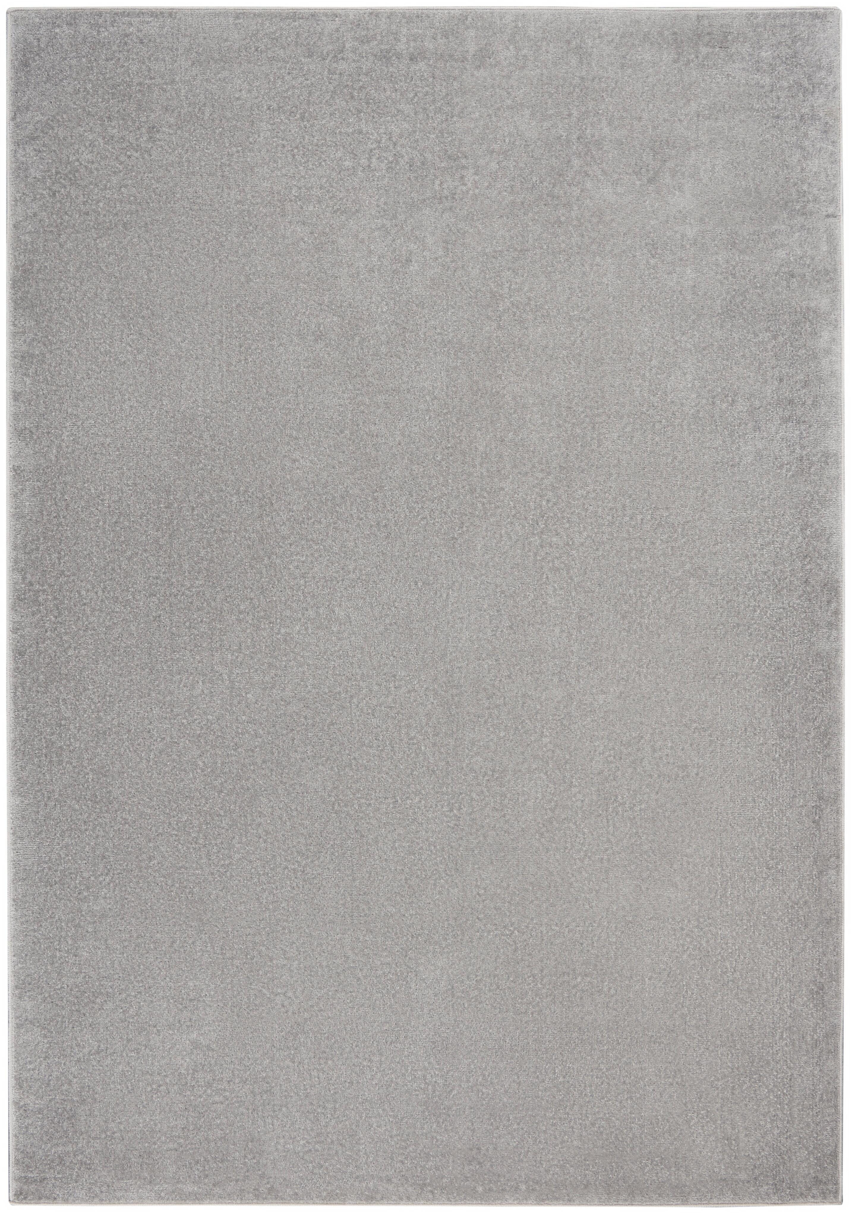 Nourison Home Nourison Nourison Essentials 6' x 9' Silver Grey Outdoor Indoor/Outdoor Rug, Silver, large