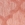 Swatch color Coral/Orange