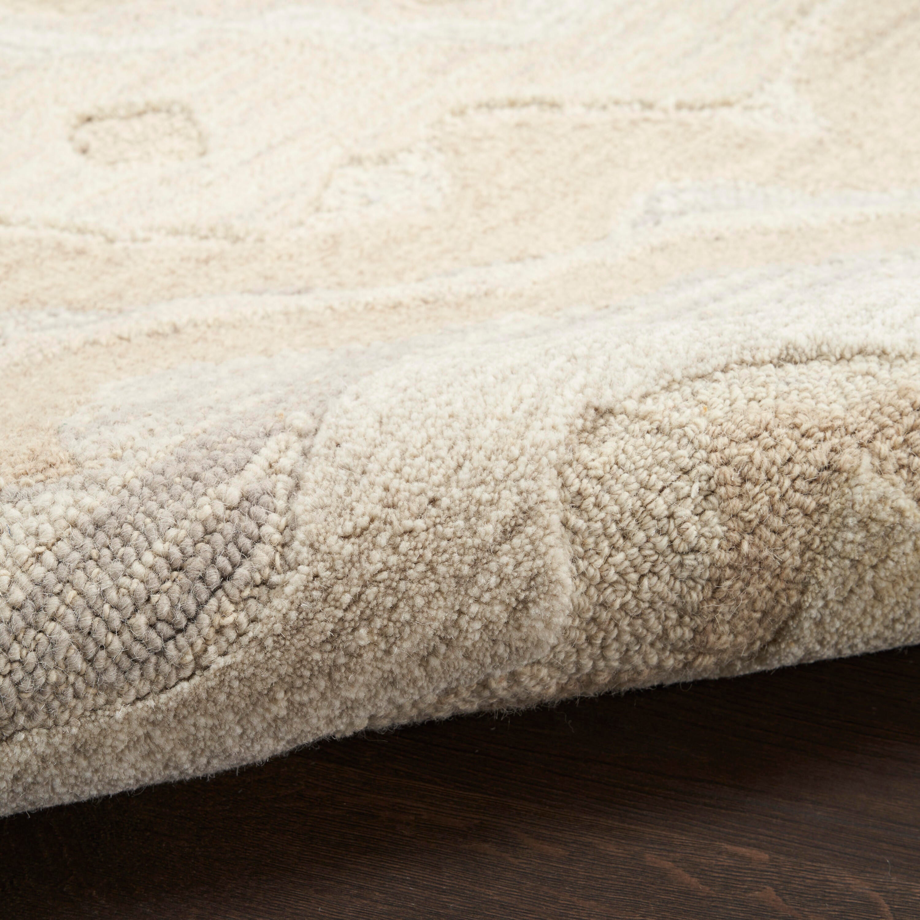 Nourison Home Graceful Area Rug 9' x 12', Beige, large