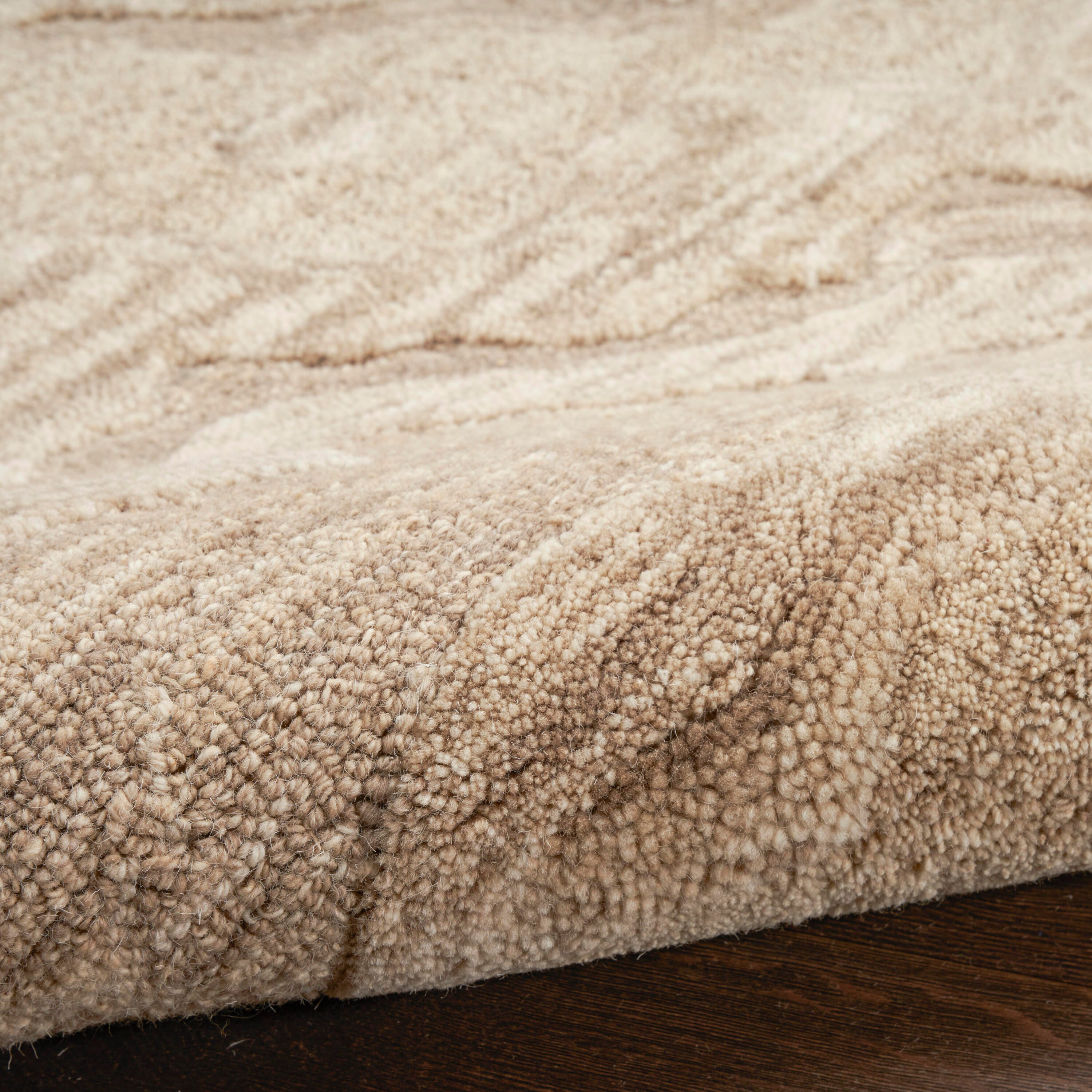 Nourison Home Graceful Area Rug 9' x 12', Taupe, large