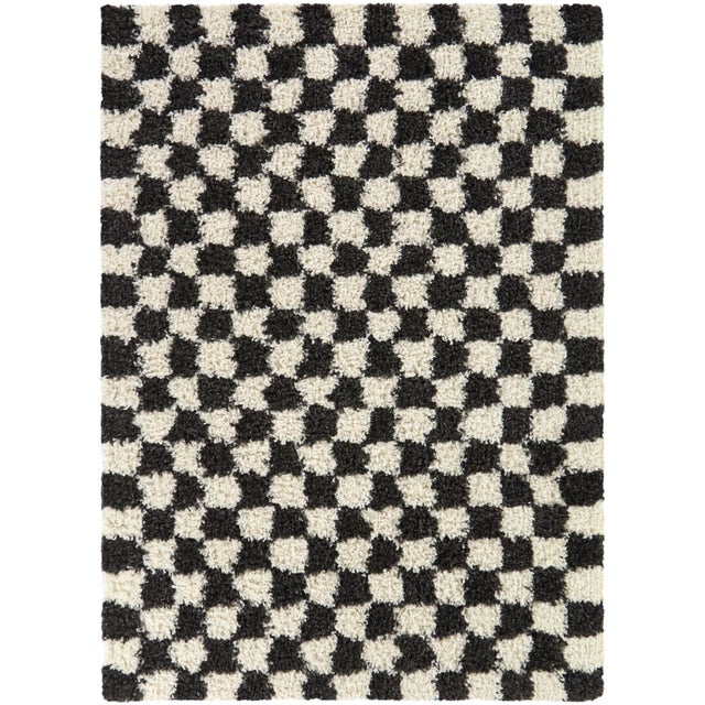 Mackie Checkered Shag 5' 3" x 7' Area Rug