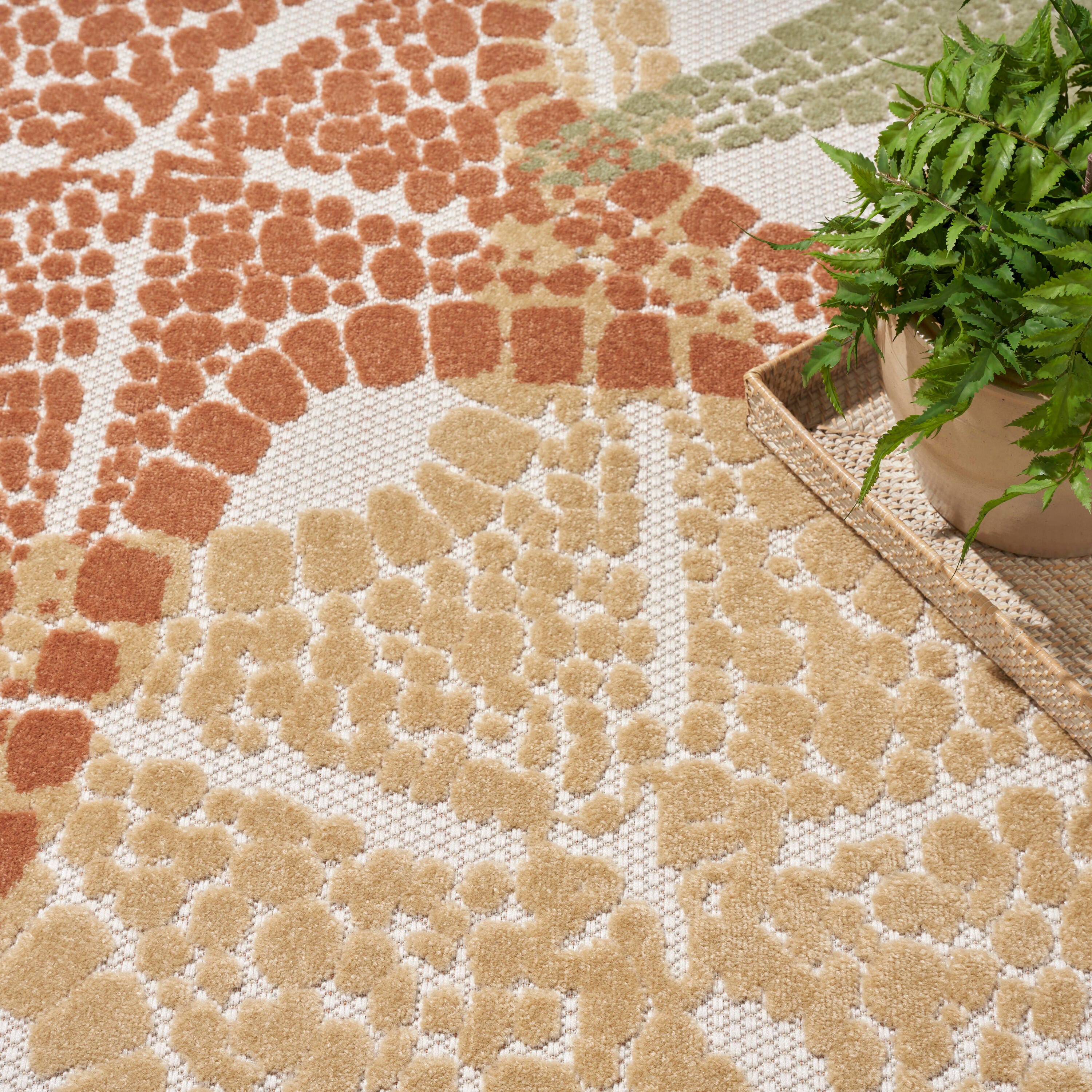 Nourison Home Splash 5'3" X 7'5 Starfish Indoor/Outdoor Area Rug, Ivory/Multi, large