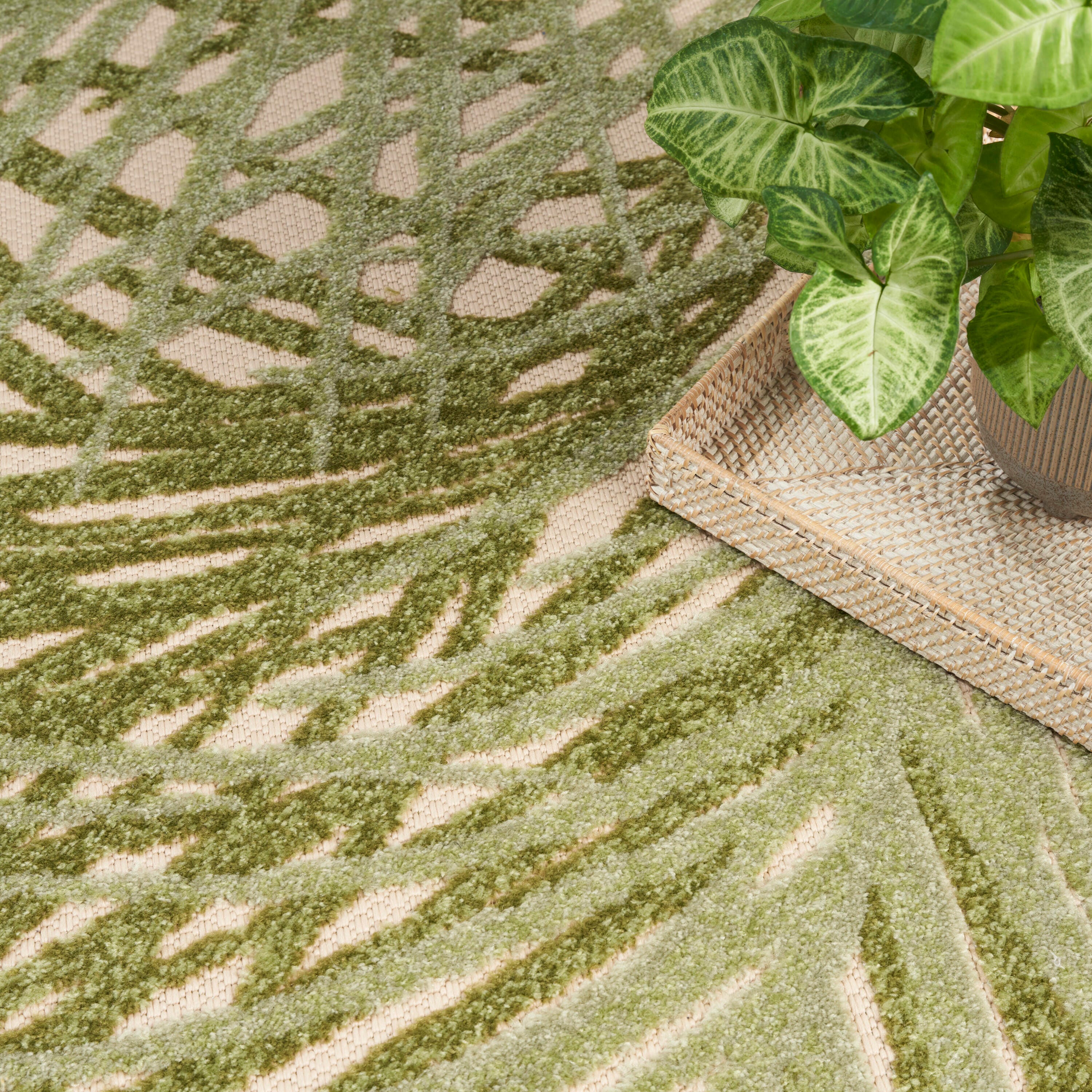 Nourison Home Splash 5'3" X 7'5 Organic Indoor/Outdoor Area Rug, Ivory/Green, large