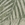 Swatch color Green/Ivory