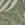 Swatch color Green/Ivory
