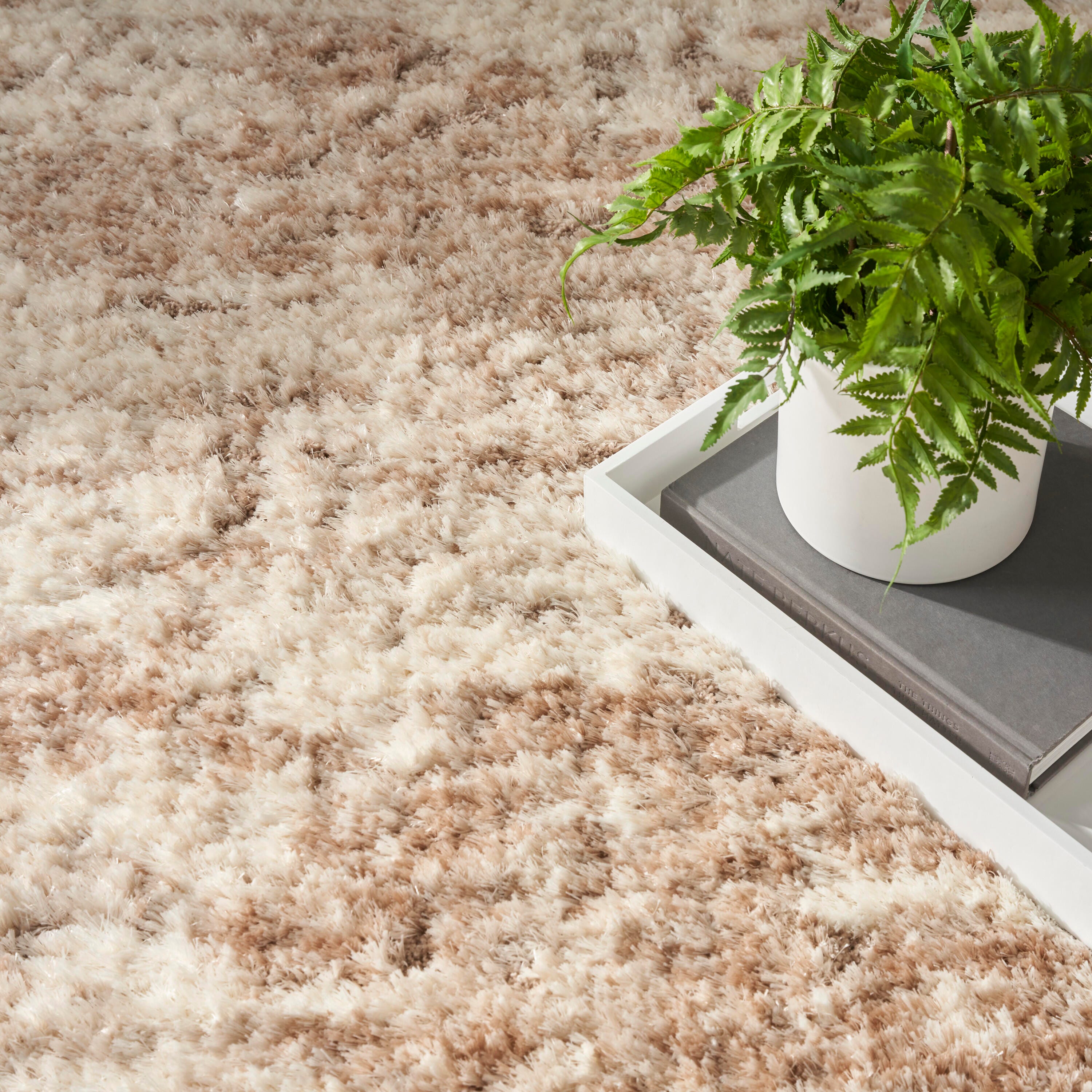 Nourison Home Dreamy Shag 5' x 7' Area Rug, Ivory/Dark Beige, large