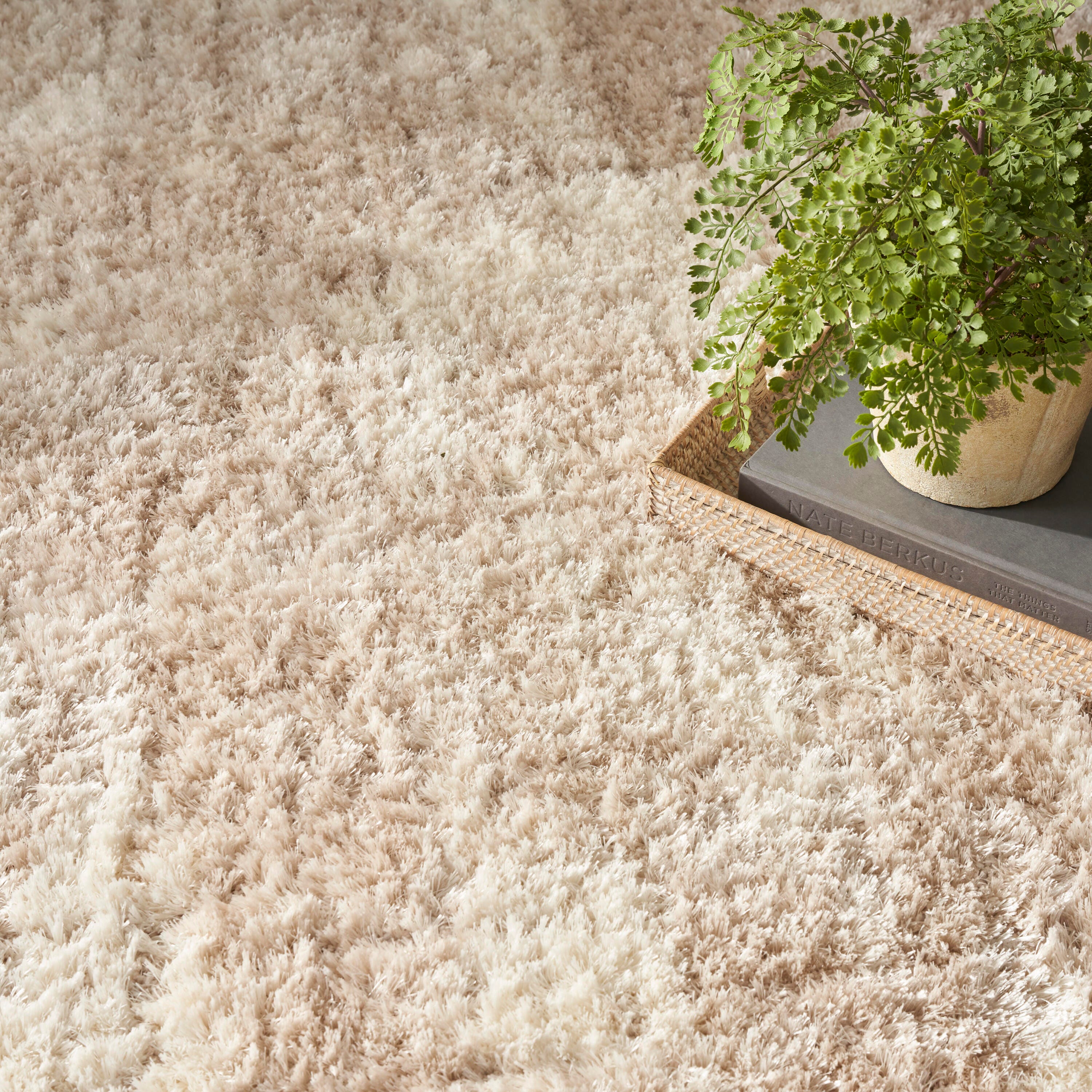 Nourison Home Dreamy Shag 8' x 10' Area Rug, Ivory/Beige, large