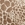 Swatch color Camel/Silver , product with this swatch is currently selected