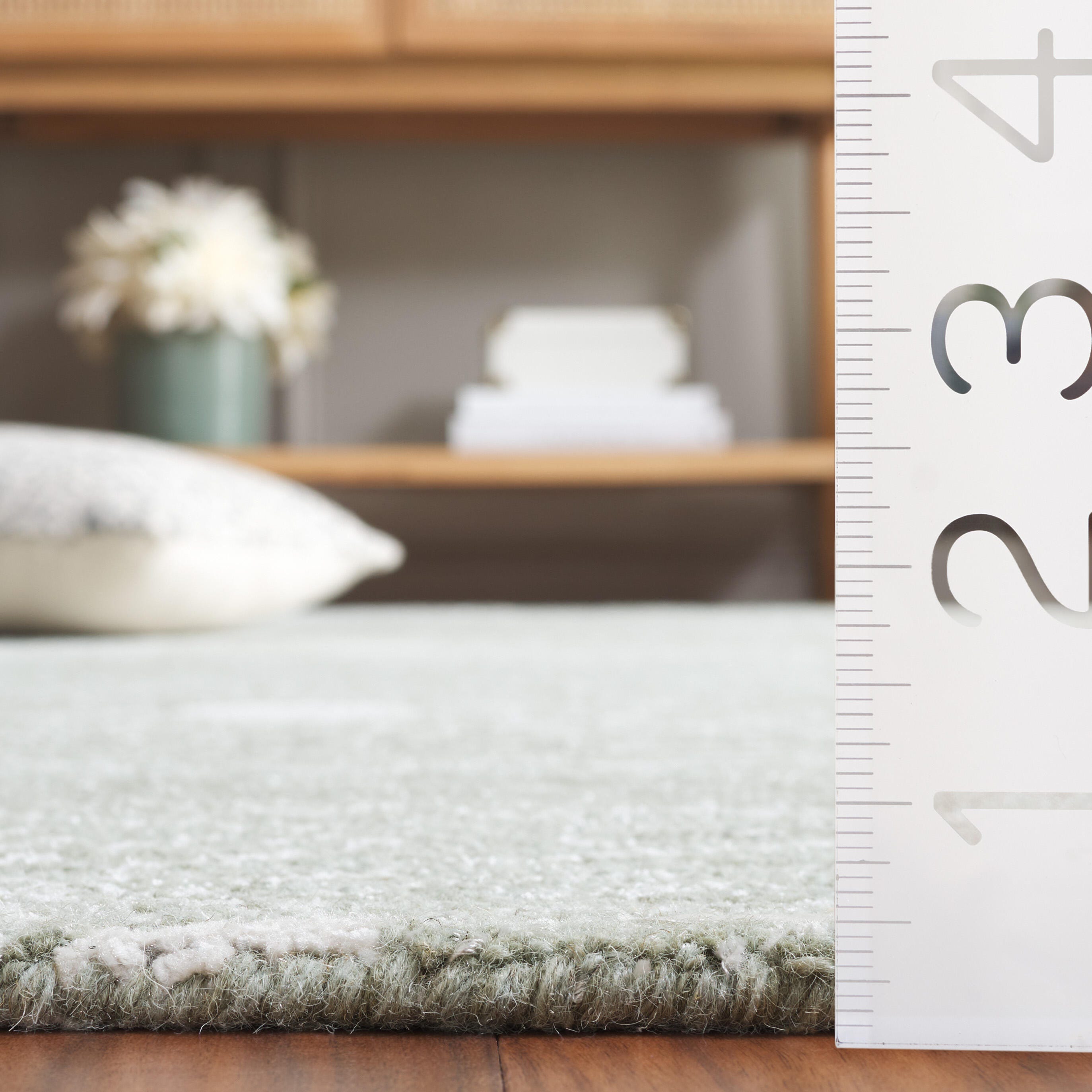 Safavieh Ebony 6' x 9' Area Rug, Sage/Ivory, large