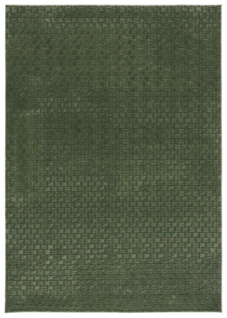 Safavieh Revive Tegwen 4' x 6' Area Rug, Green