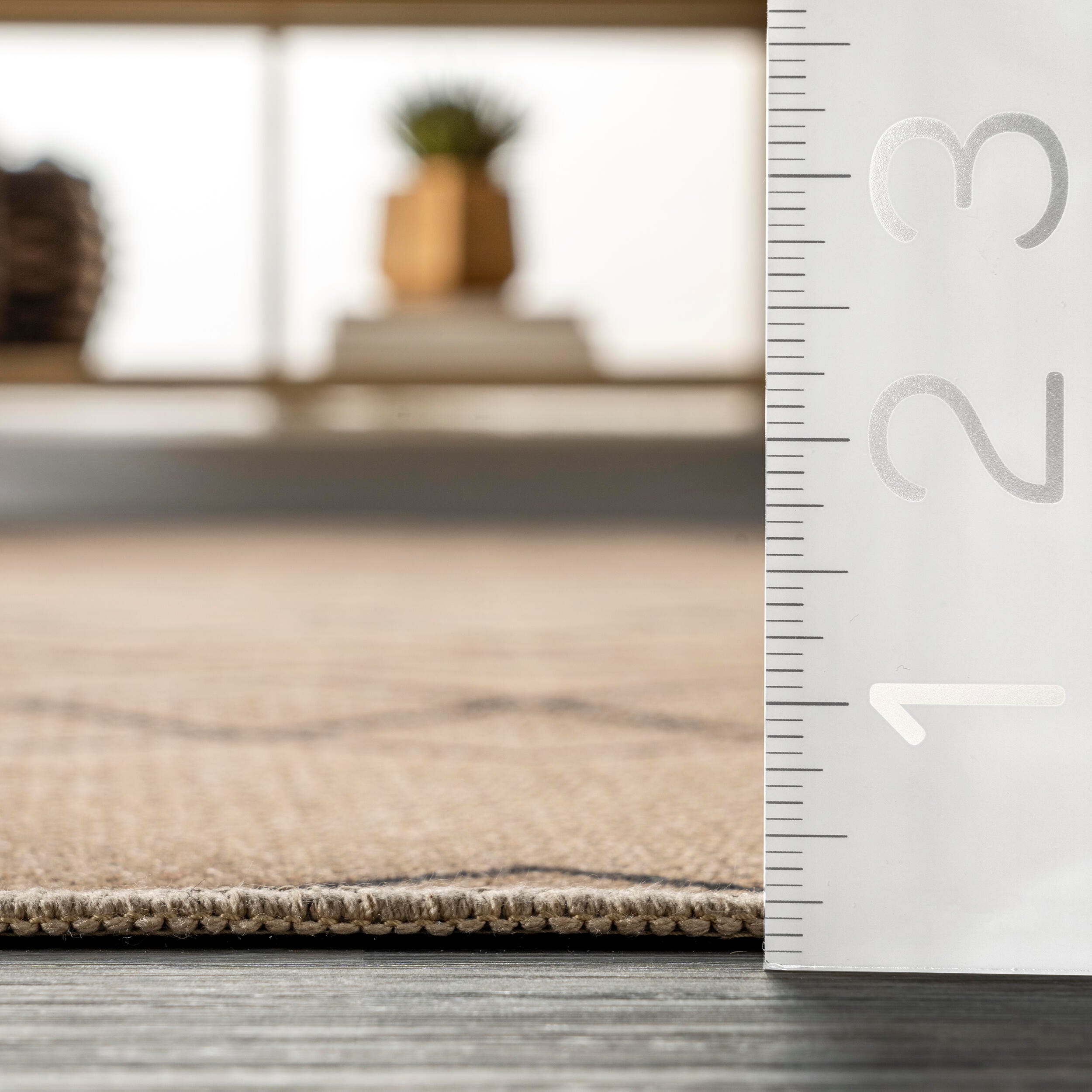 Nuloom Rosita 4' x 6' Area Rug, , large