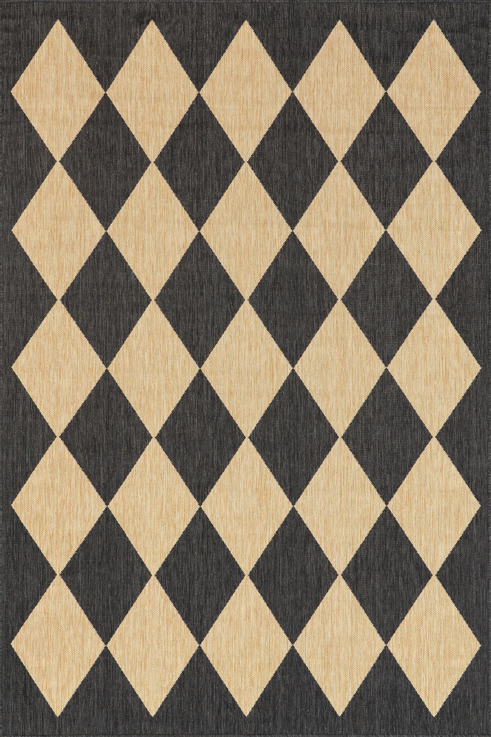 Nuloom Sabina 4' x 6' Area Rug, Beige/Black, large