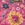 Swatch color Fuchsia