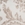 Swatch color Ivory/Beige