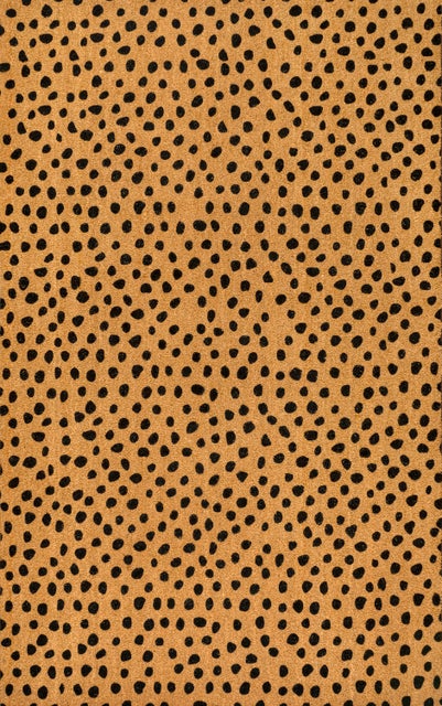 Jonathan Y Daphne Outdoor 4' x 6' Area Rug