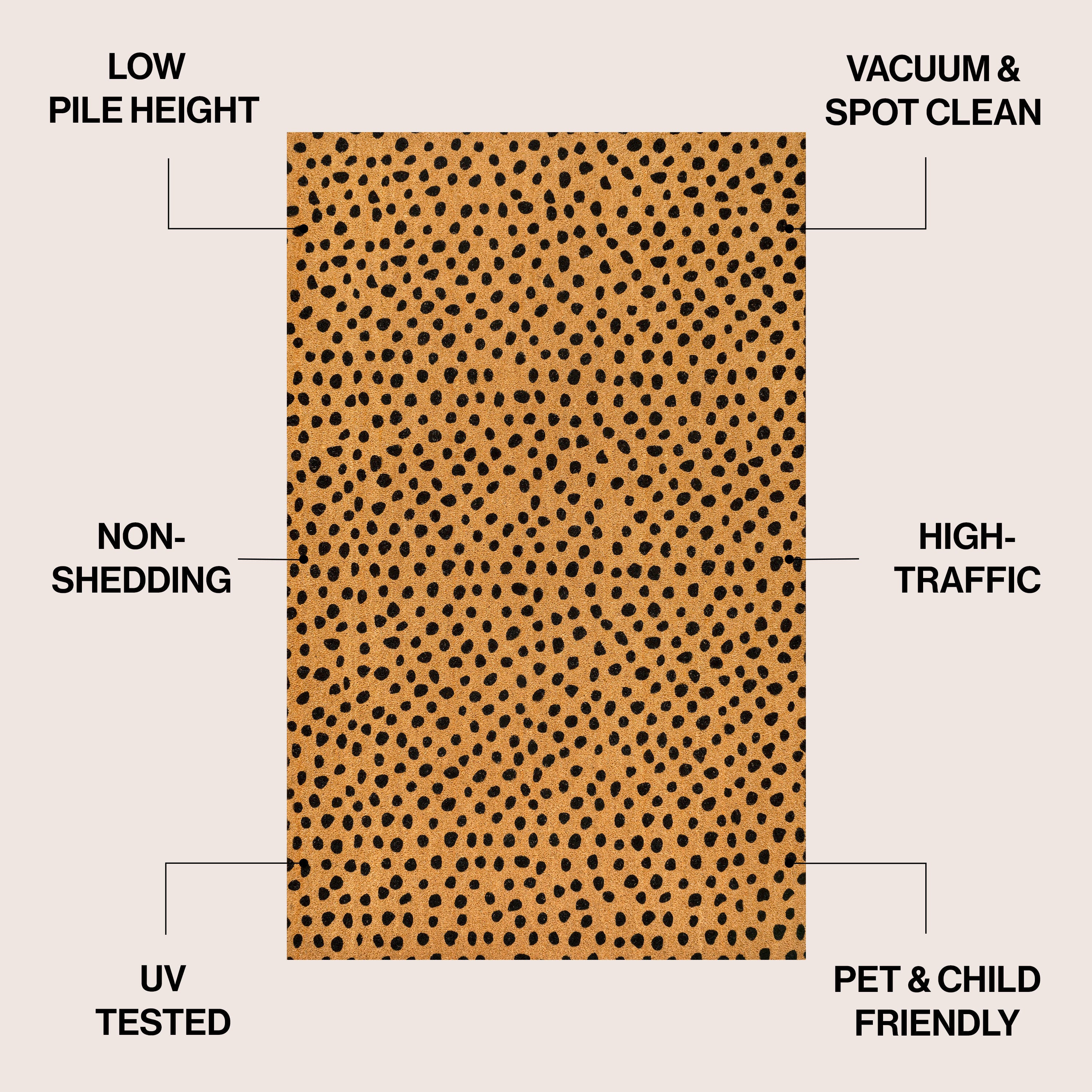JONATHAN Y Daphne 4' x 6' Area Rug, Natural/Black, large