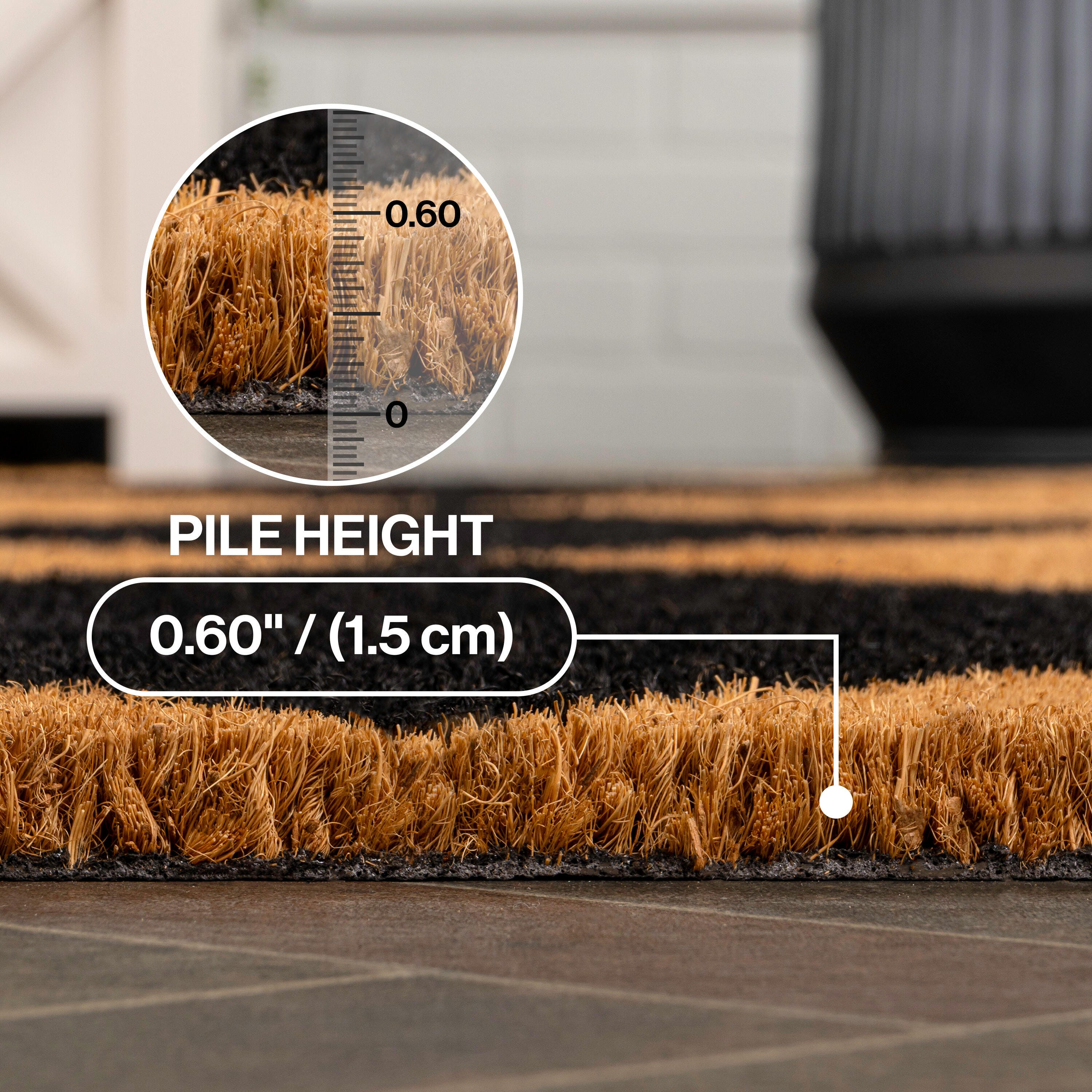 JONATHAN Y Paige 3' x 5' Area Rug, Natural/Black, large