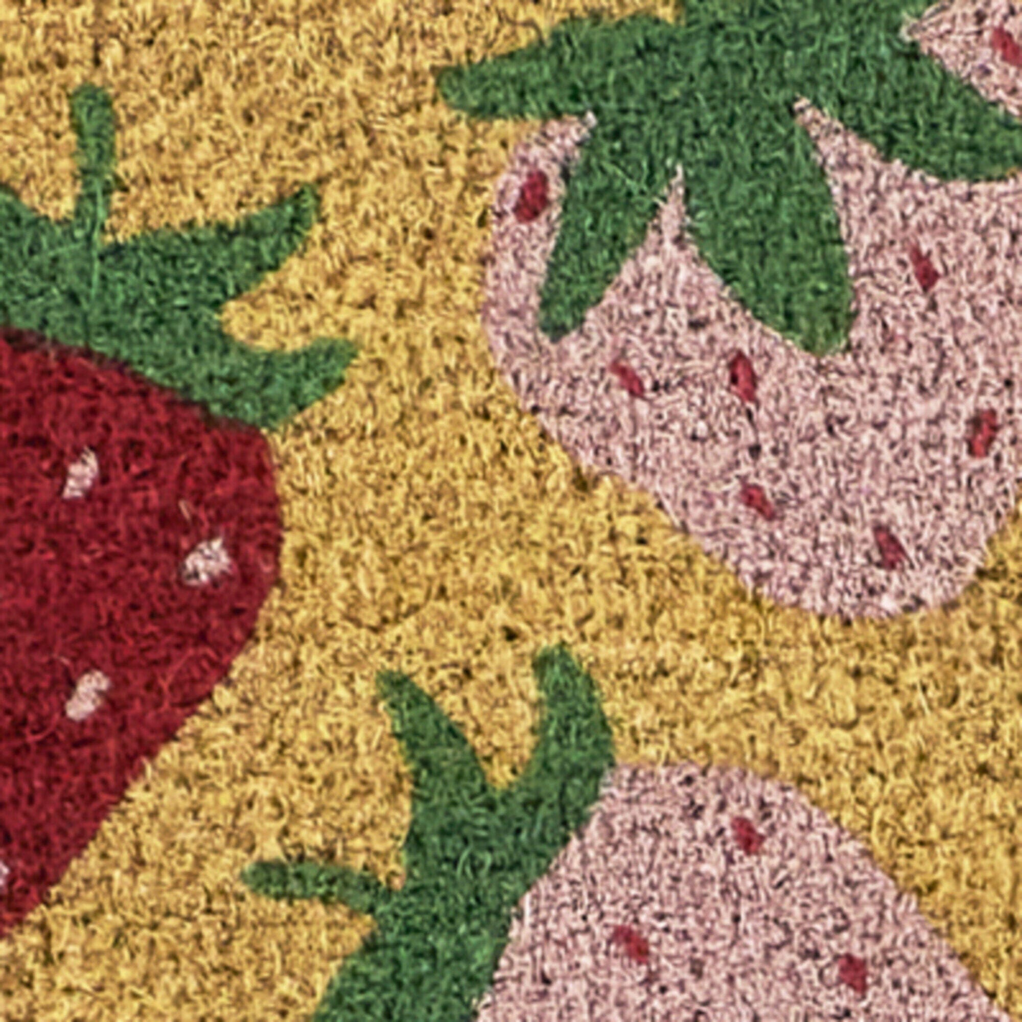 Balta Strawberry  18" x 30" Doormat, , swatch
