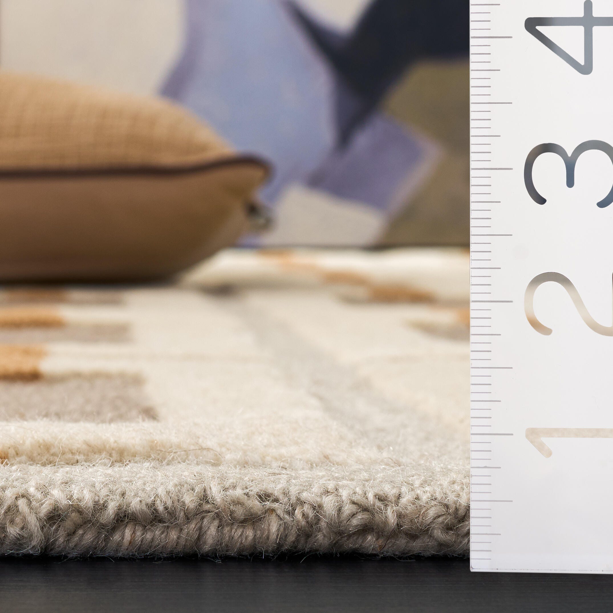 Safavieh Danielle 6' x 9' Area Rug, Beige/Gray, large