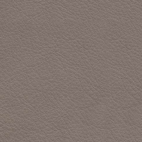 Swatch color Coin , product with this swatch is currently selected