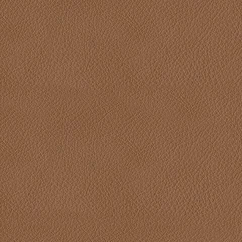 Swatch color Butternut 