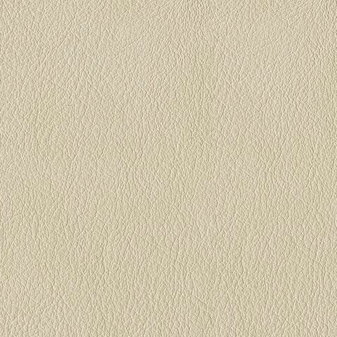 Swatch color Canvas 