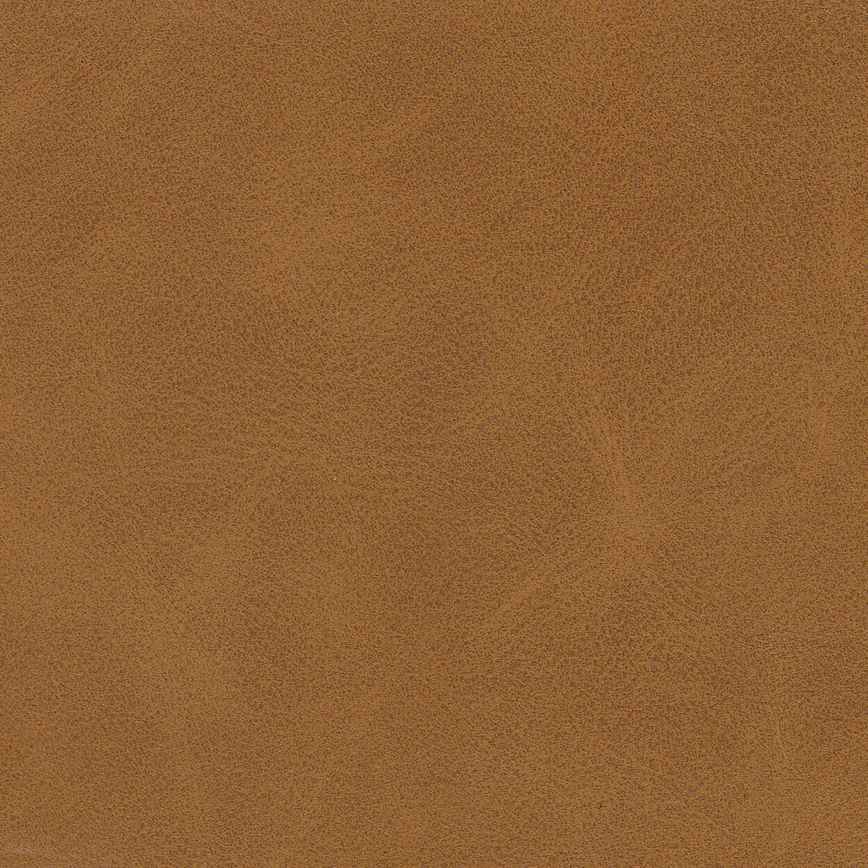 Select Color: Carmel