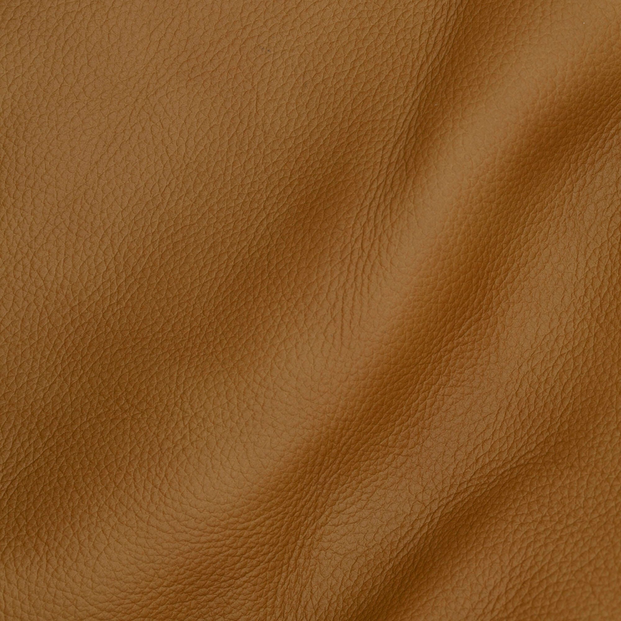 Swatch color Tan 