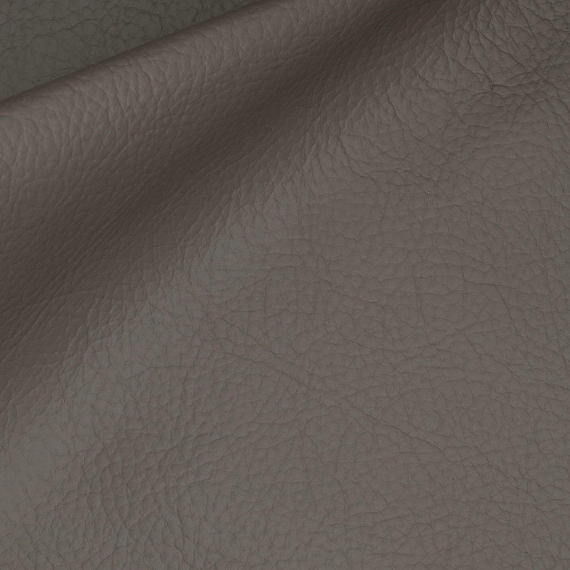 Swatch color Gray 