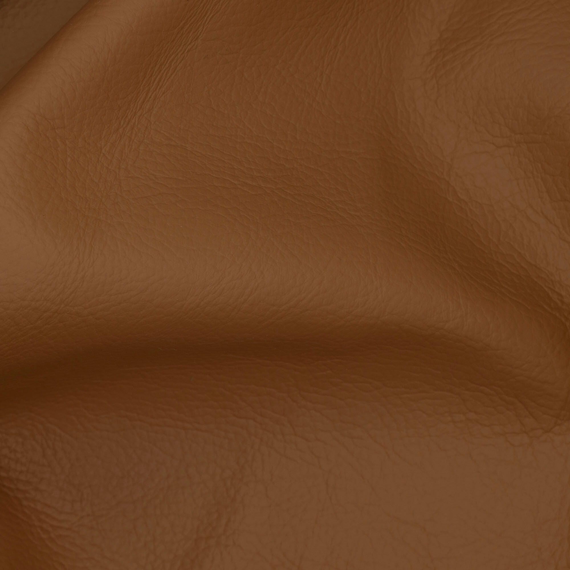 Swatch color Tan 